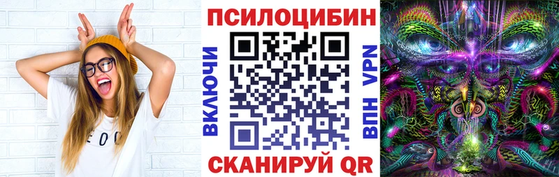 Псилоцибиновые грибы Cubensis  Ахтубинск 