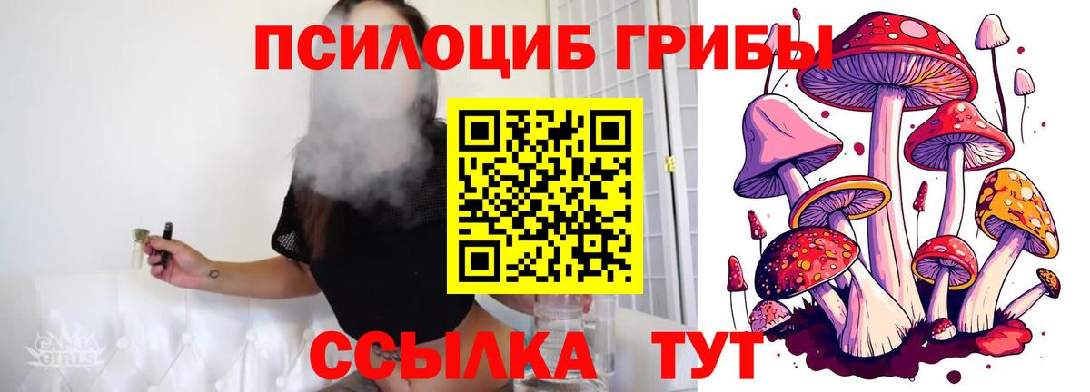 Ахтубинск  Галлюциногенные грибы Magic Shrooms  Вход с VPN 
